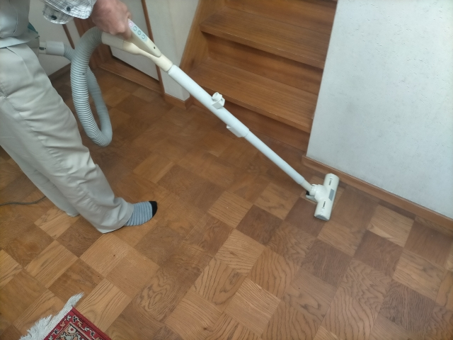 シロアリを掃除機で吸う