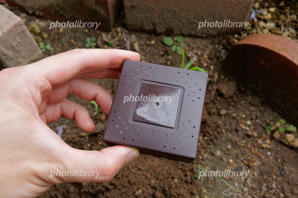 シロアリ ベイト剤