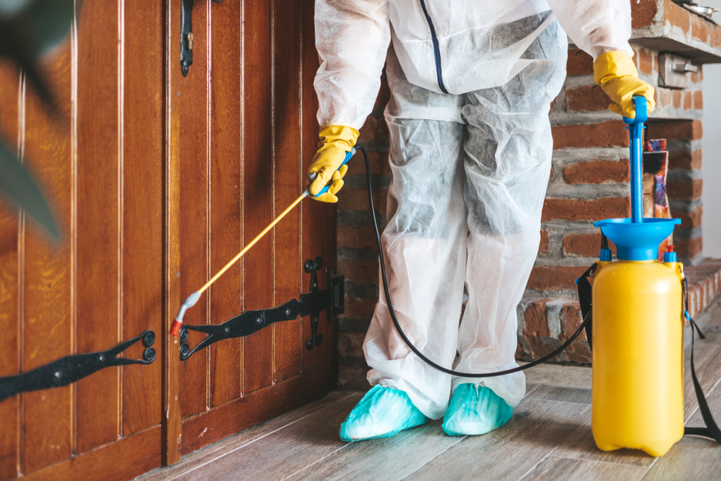 ネズミ　駆除業者