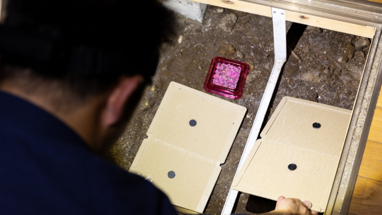 イタチ　駆除業者